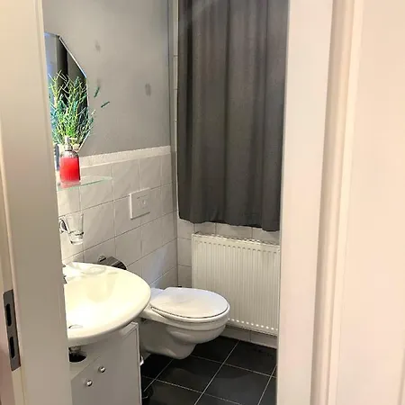 Haus Stern Alpine * Oberwiesenthal