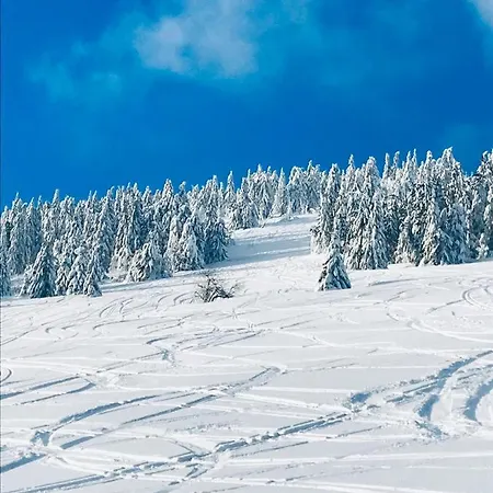 Διαμέρισμα Haus Stern Alpine Oberwiesenthal